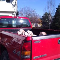 Christopher Leger Photo 18