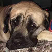 Marc Harrell Photo 10