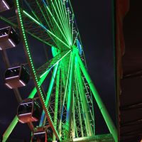 Diana Richardson Photo 26