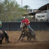 Justin Potts Photo 35