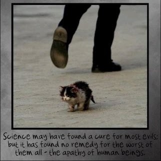 Judy Hunter Photo 26