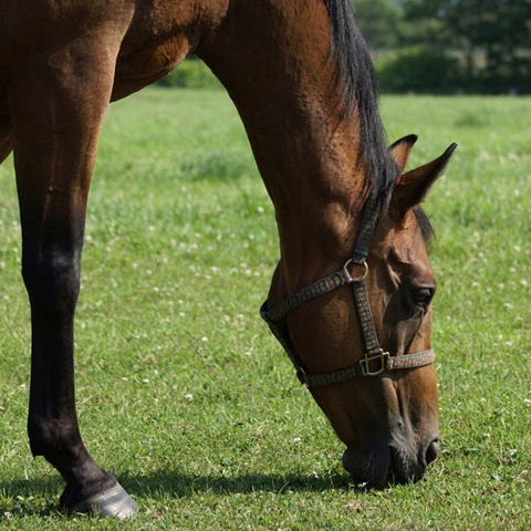 Stephanie Mccullough Photo 35