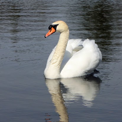 Sue Gilbert Photo 30