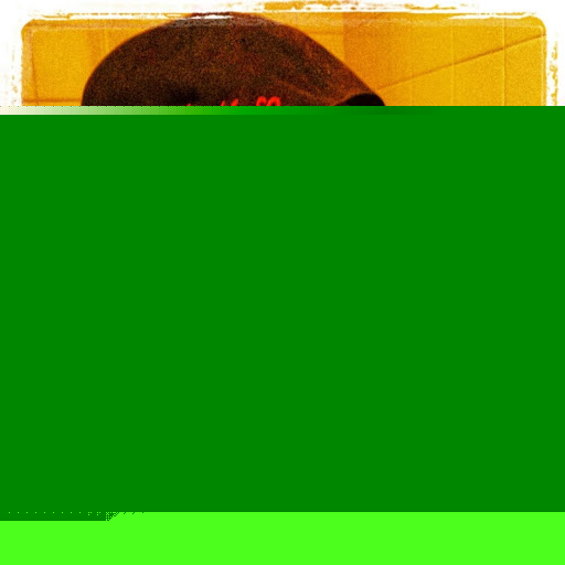 Gregory Ross Photo 25 Gregory Ross Photo 25