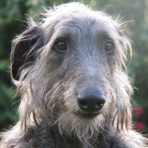 Raymond Walter Photo 5