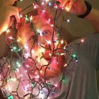 Jonathan Jenkins Photo 25