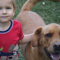 Christine Krause Photo 15