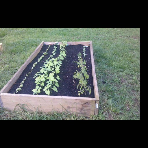 Michael Flanary Photo 5