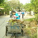Dinh Nguyen Photo 39