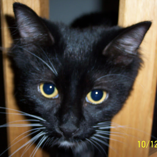 Nell Miller Photo 28 Nell Miller Photo 28