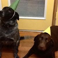 Jonathan Little Photo 27