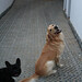 Frances Frech Photo 13