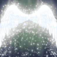 Rhonda Potts Photo 22