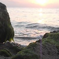 Ricardo Pruneda Photo 8