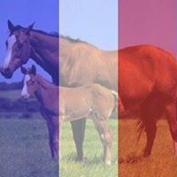 Juanita Matthews Photo 18