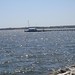 Reginald Truitt Photo 7