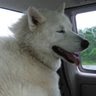 Christine Parks Photo 22
