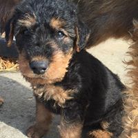 Renee Sweeney Photo 13