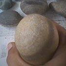 Peter Bush Photo 36 Peter Bush Photo 36