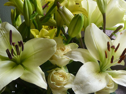 Andrea Stern Photo 34