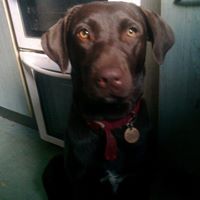 Janice Rolfe Photo 9