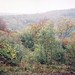 James Ridgeway Photo 31