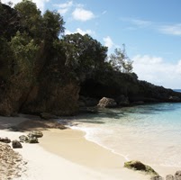 Jacqueline Vickers Photo 19