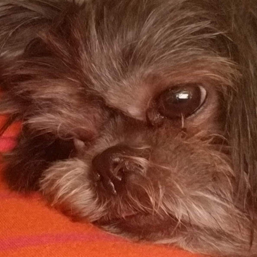 Wanda Scott Photo 21