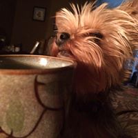 Vicki Bryant Photo 24