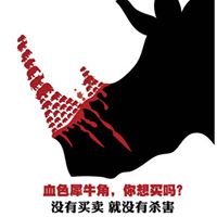 Theresa Redding Photo 5