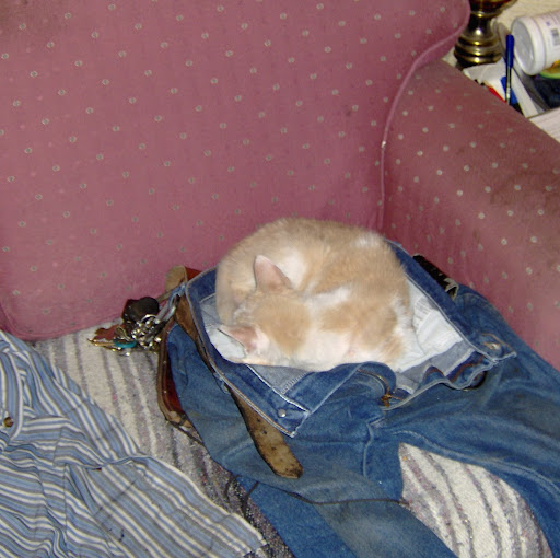 Bill Compton Photo 19 Bill Compton Photo 19