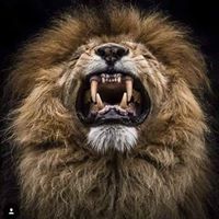 Ricky Kruse Photo 12