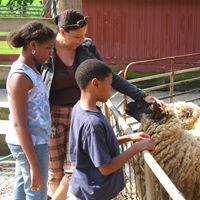 April Holley Photo 36