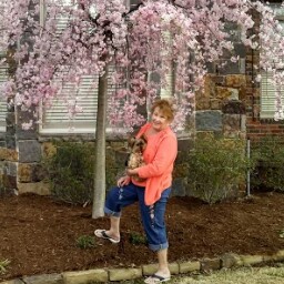 Vicki Wolfe Photo 34