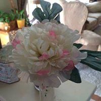 Carol Freeman Photo 16