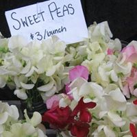 Megan Stacy Photo 14