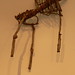 Chris Hedrick Photo 8