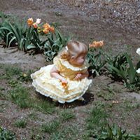 Debra Lockhart Photo 20