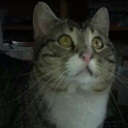 Jackie Reeves Photo 33