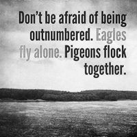 Stacie Hardy Photo 16