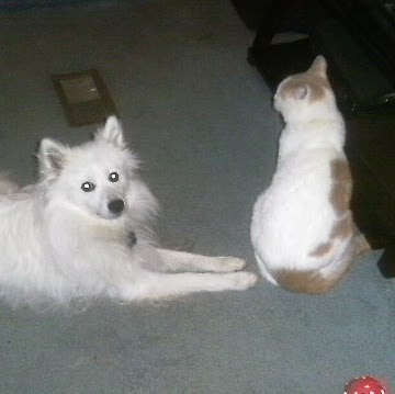 Jeffrey Conner Photo 25