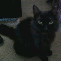 Nancy Jarvis Photo 16