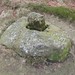 Donna Cross Photo 39