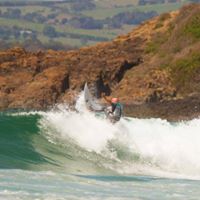 Paul Whitehead Photo 17