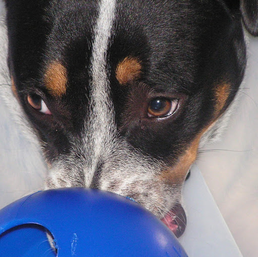 Jonathan Pittman Photo 13