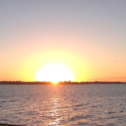 Marc Callahan Photo 26