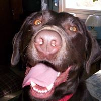 Thomas Webber Photo 10