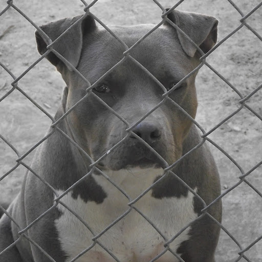 Jeffrey Gonzales Photo 30