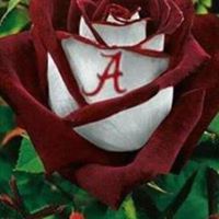 Christine Clemmons Photo 14