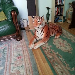 Philip Stone Photo 36